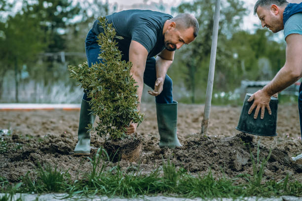 How Our Tree Care Process Works  in  Juniper Canyon, OR